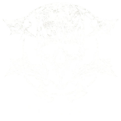 Contrition Collection